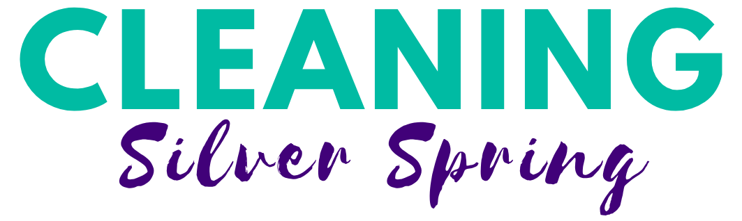 Cleaning Silver Spring